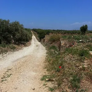 La Casa Al Ficus , Alcamo Italia